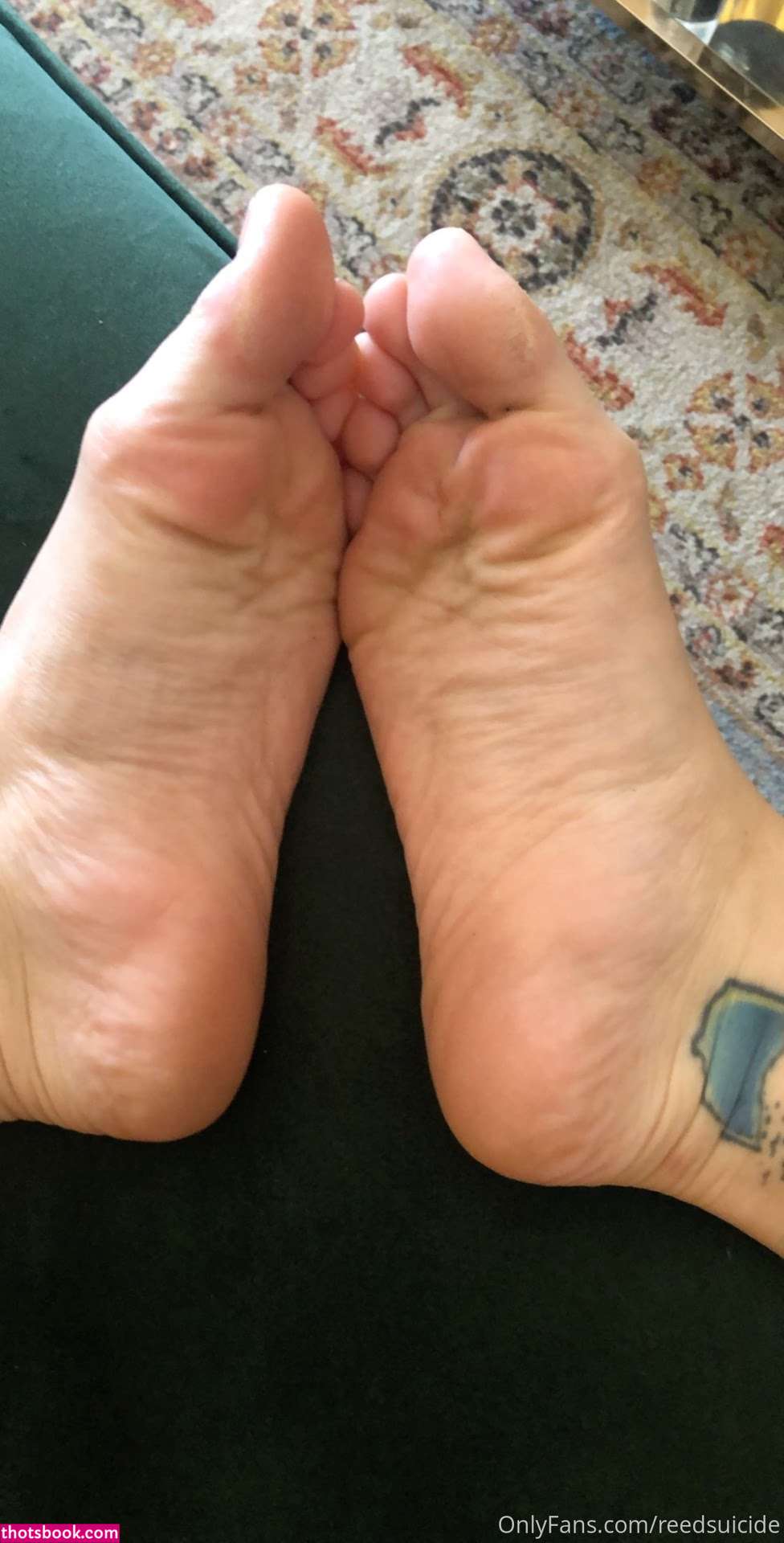 Reed Suicide Photo #44