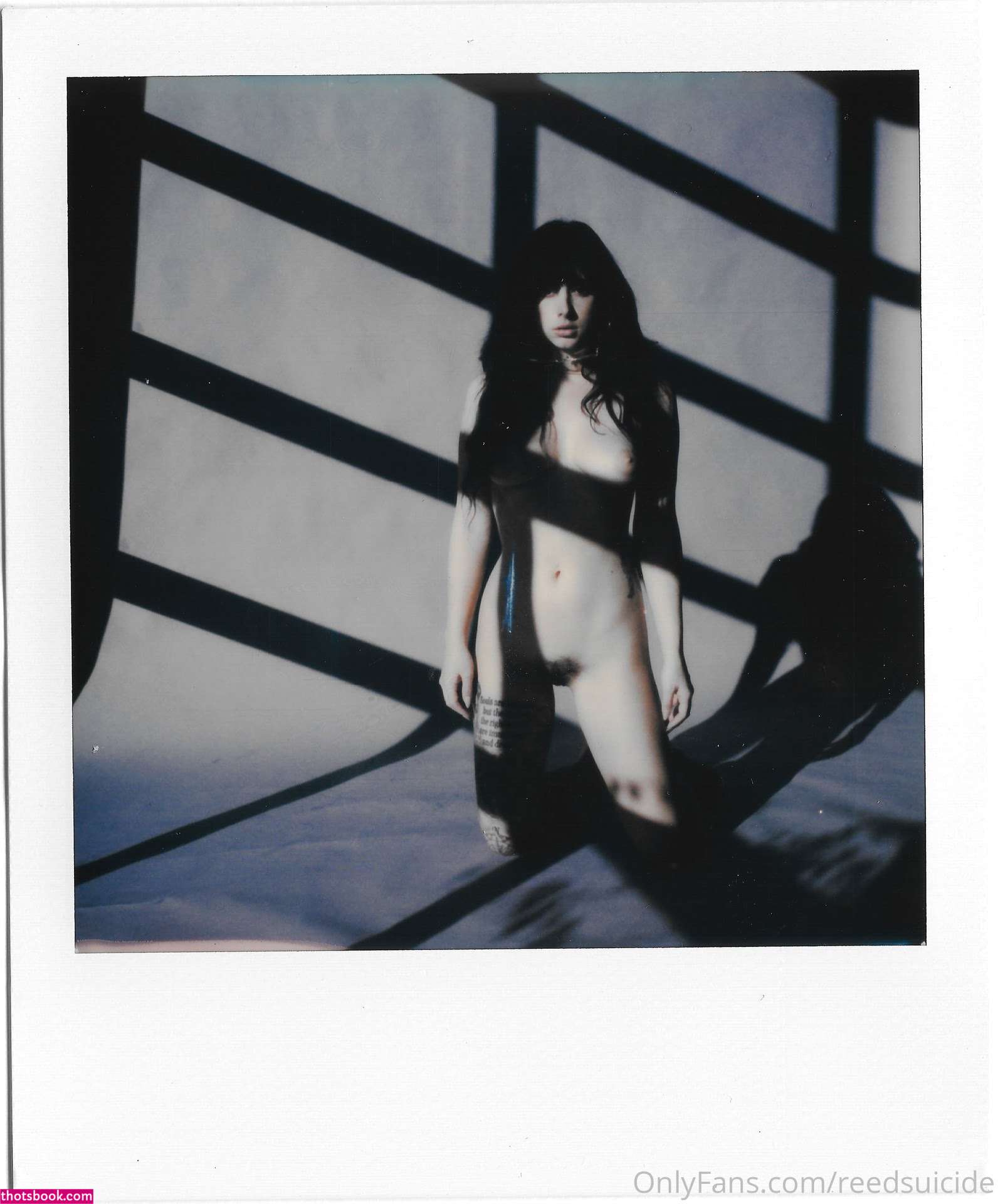 Reed Suicide Photo #70