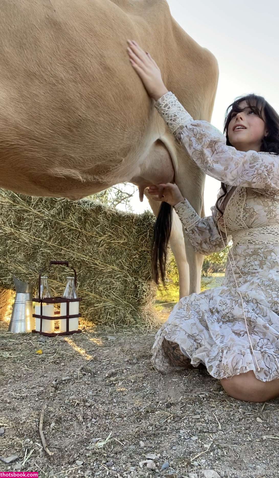 Reed Suicide Photo #153