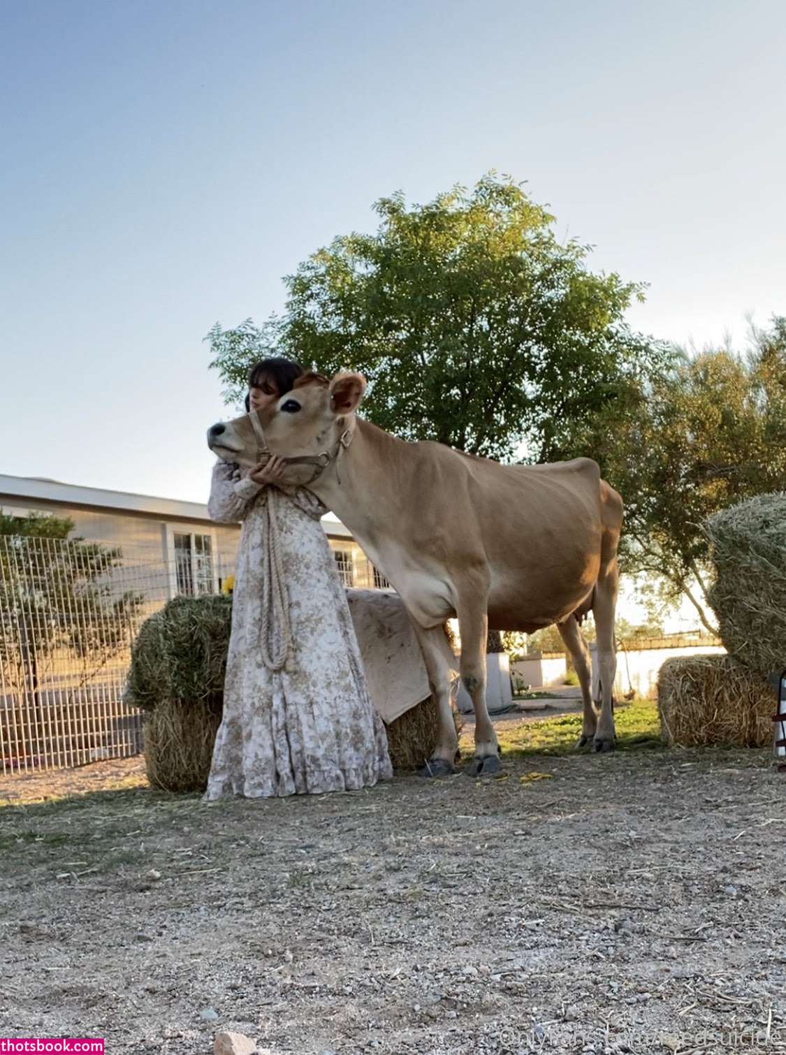 Reed Suicide Photo #157