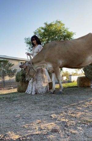 Reed Suicide Photo #150