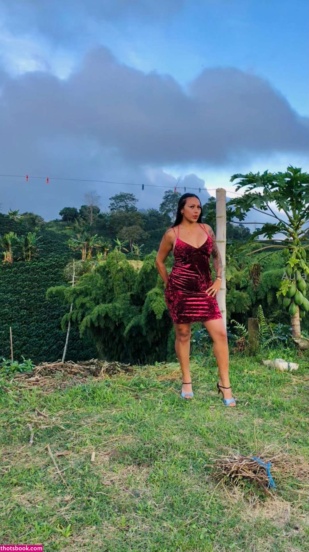 Qatecorrea Photo #21