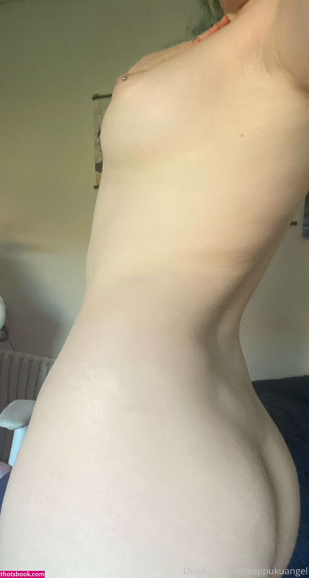 Seppukuangel Photo #150