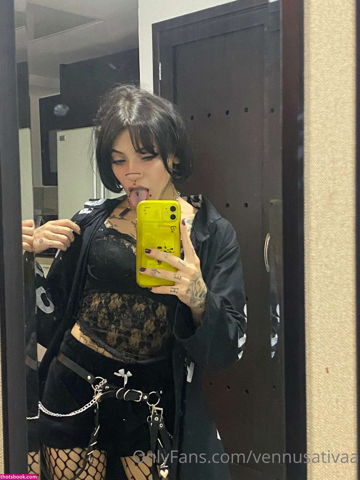 Vennussativa Photo #53