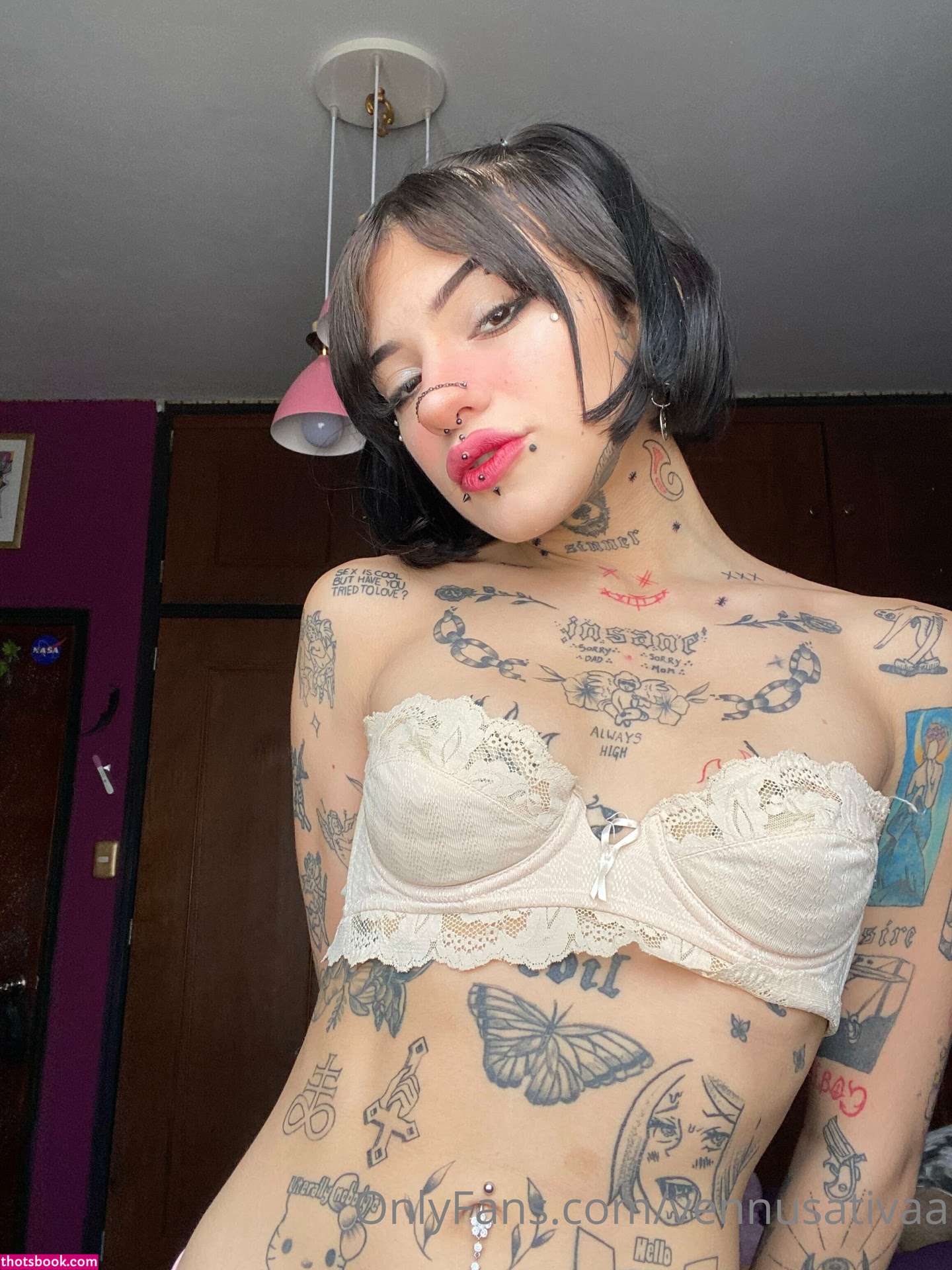 Vennussativa Photo #74