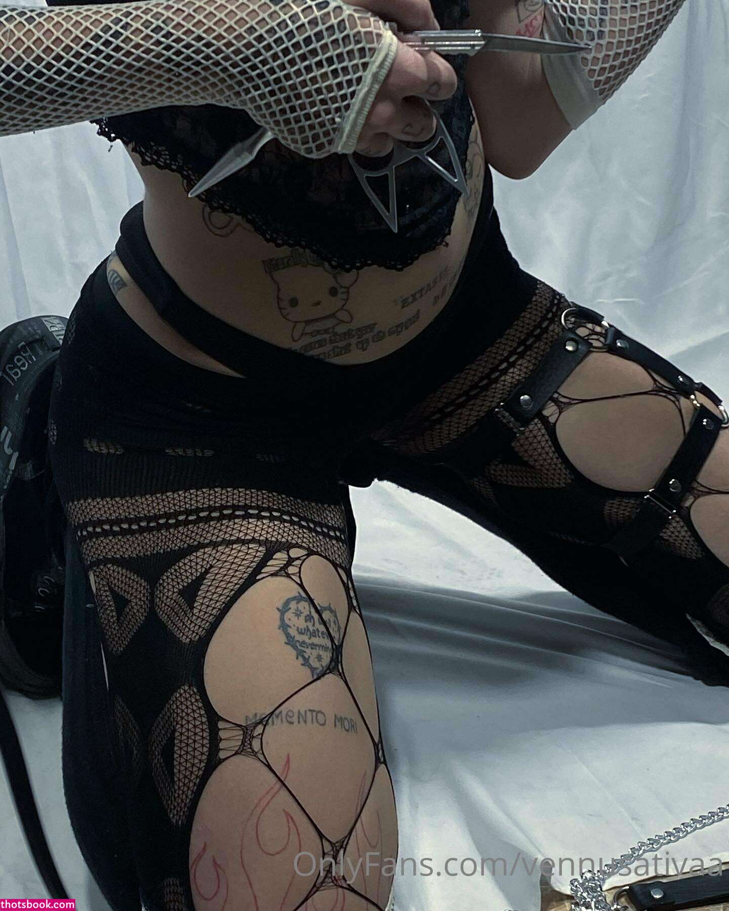 Vennussativa Photo #79