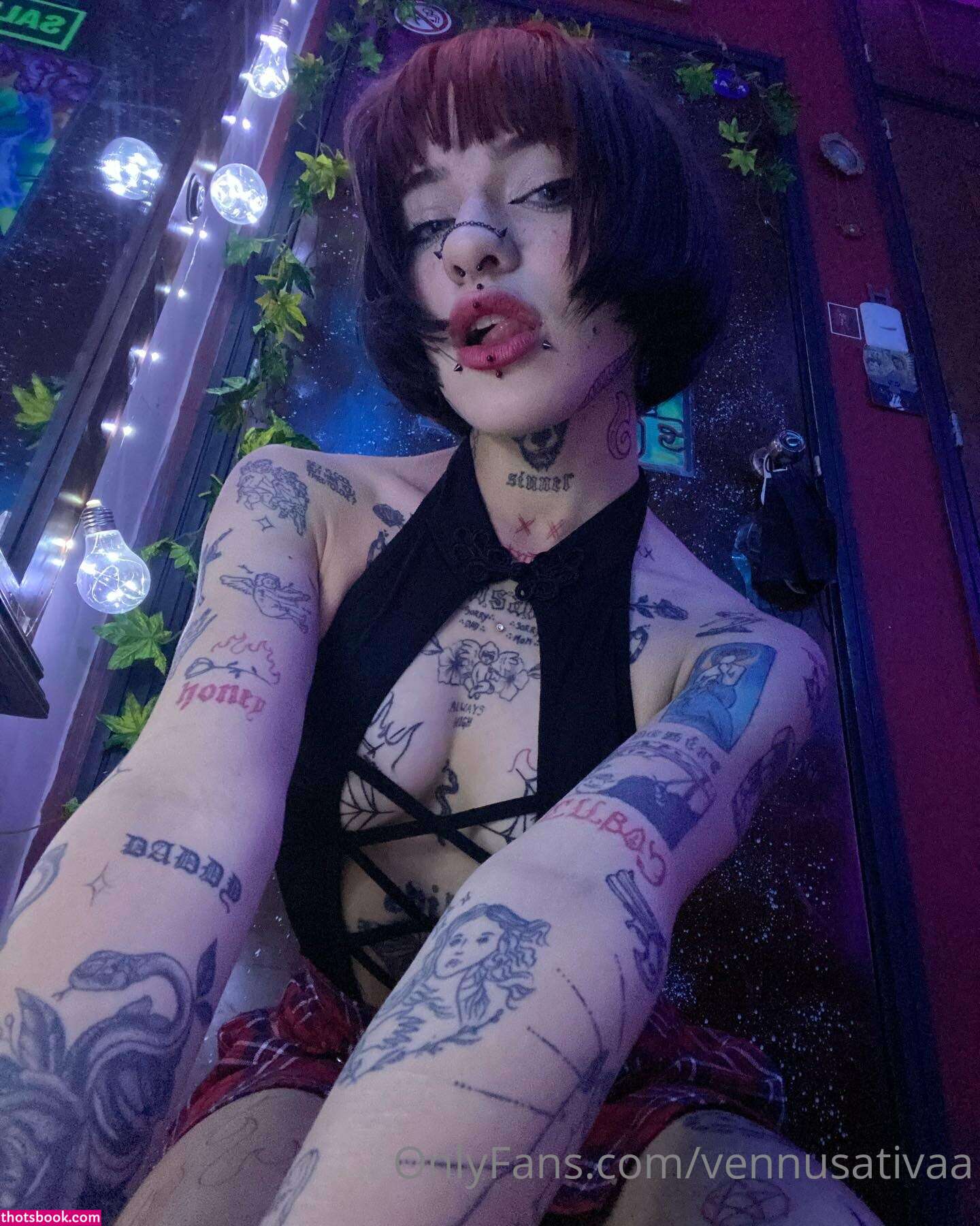 Vennussativa Photo #83