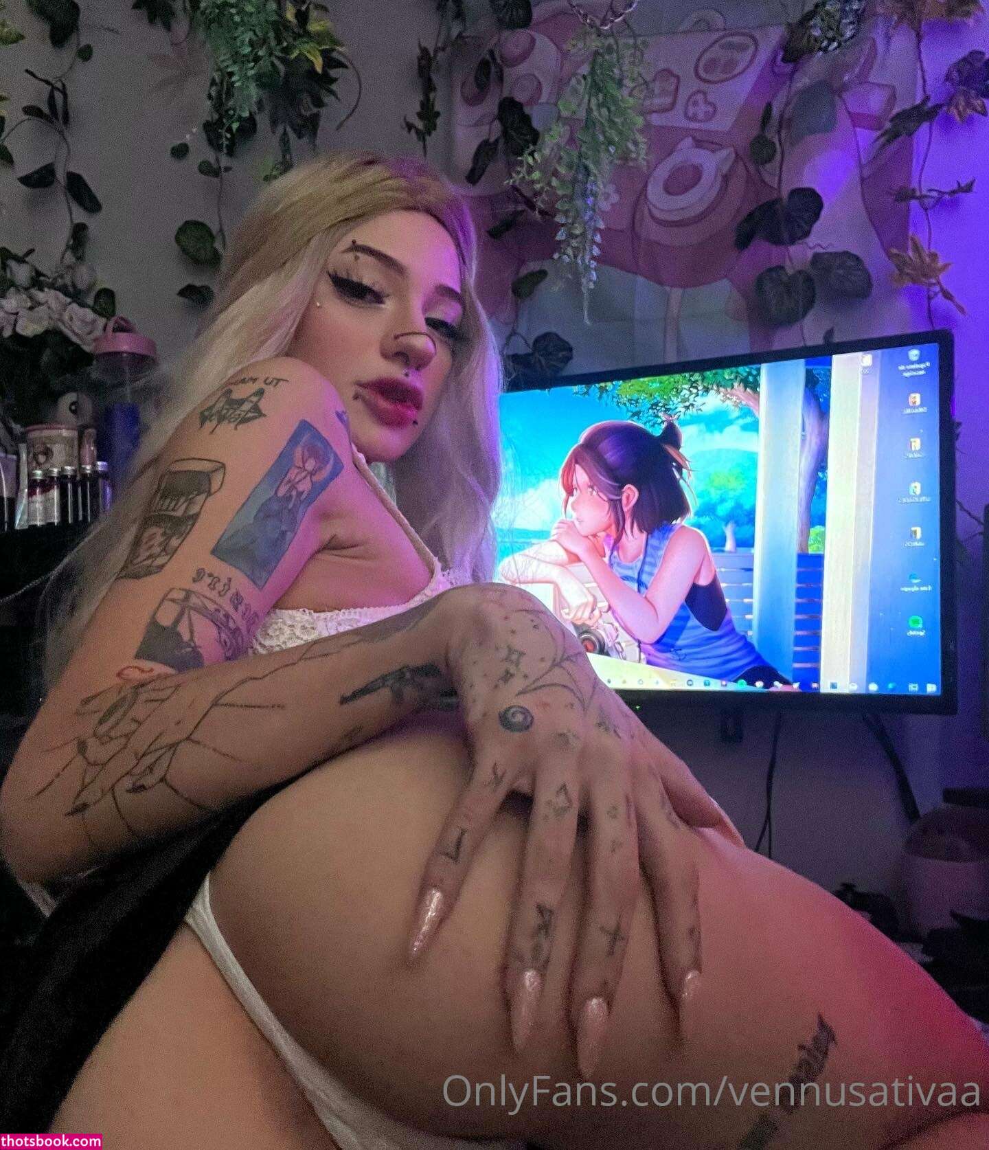 Vennussativa Photo #84