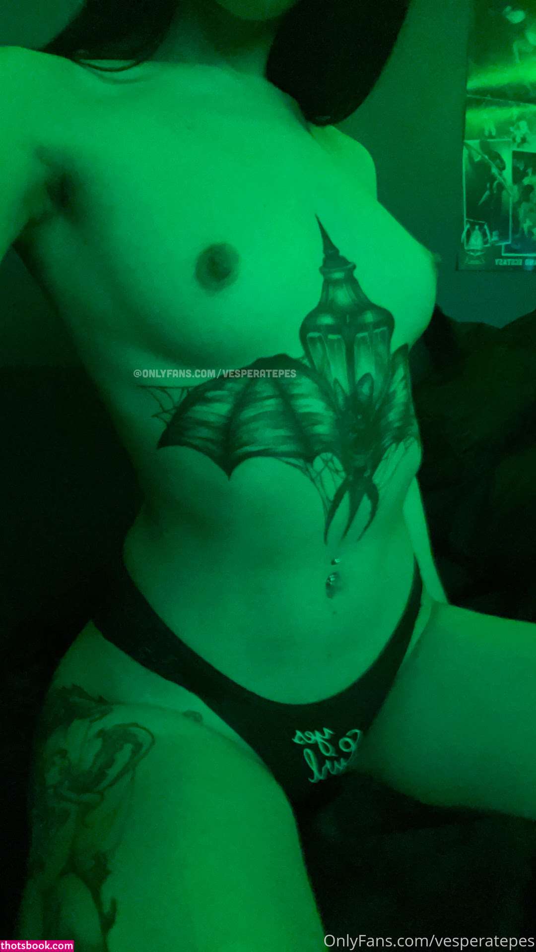 Vesperatepes Photo #158