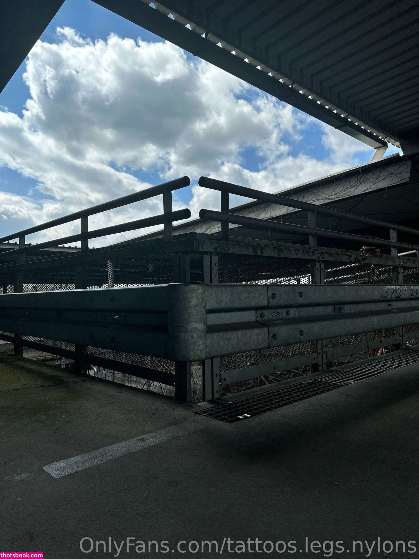 Tattoos Nylons Photo #111