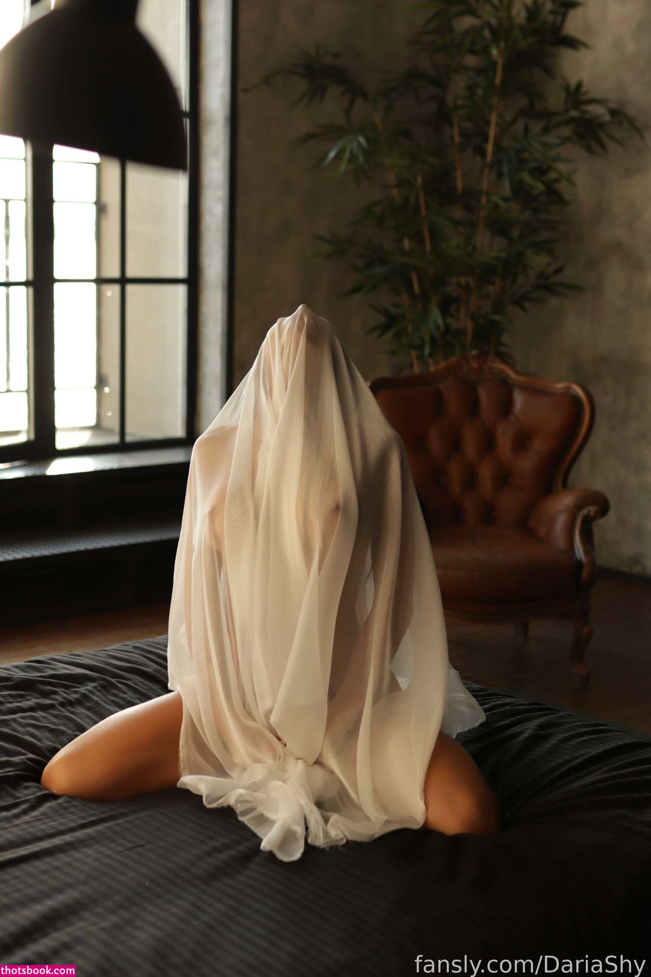 Airad Yhs Photo #246