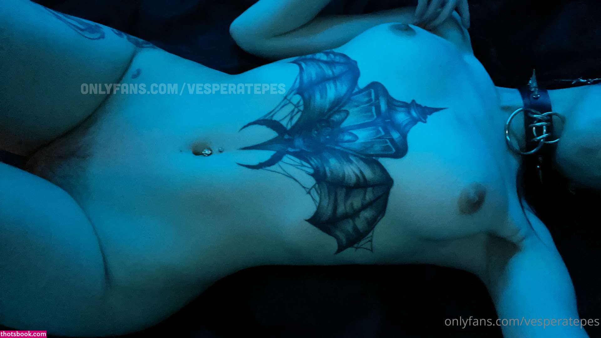 Vesperatepes Photo #1