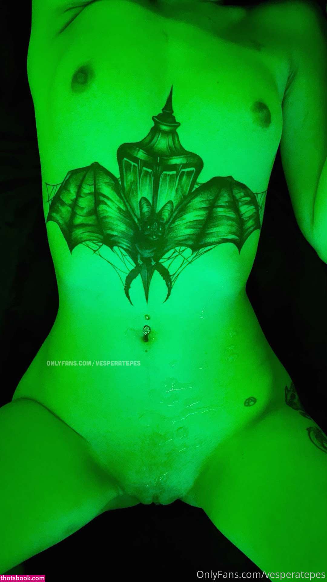 Vesperatepes Photo #17