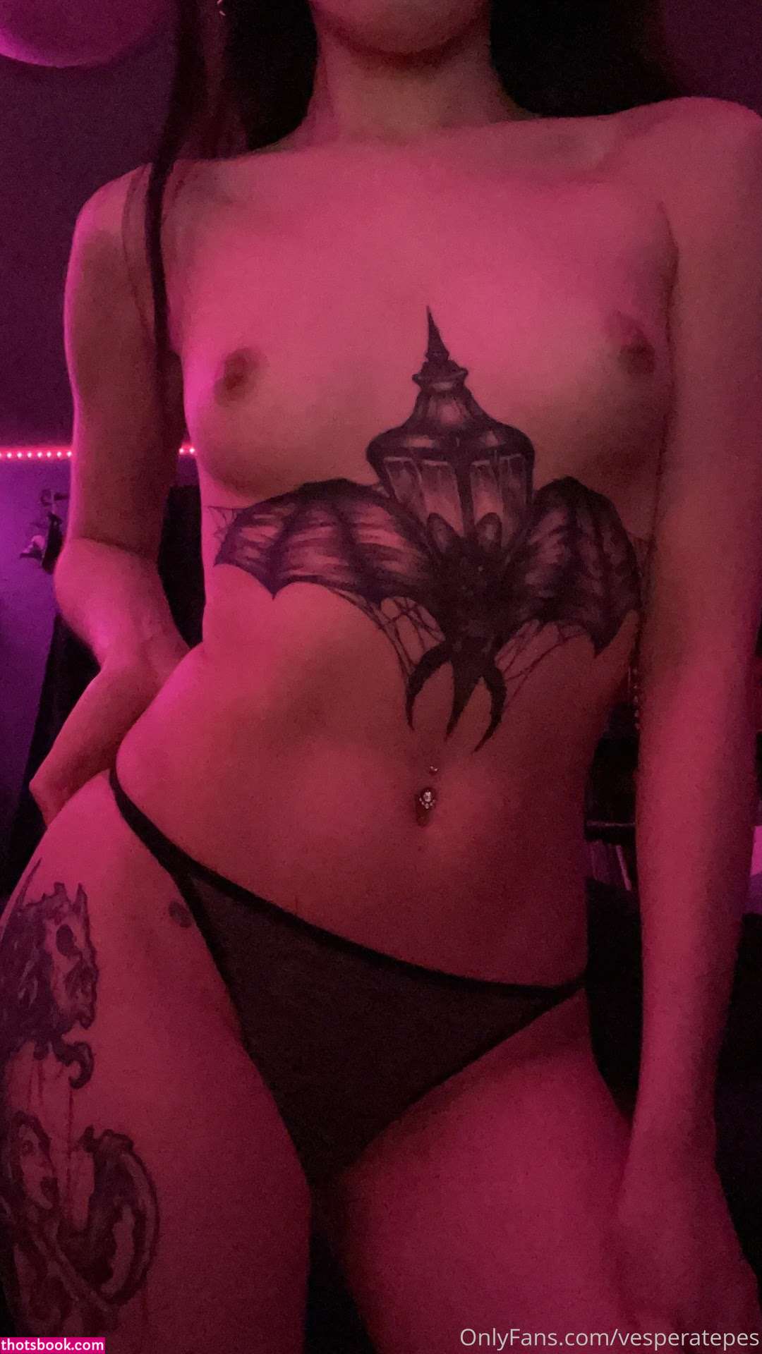 Vesperatepes Photo #49