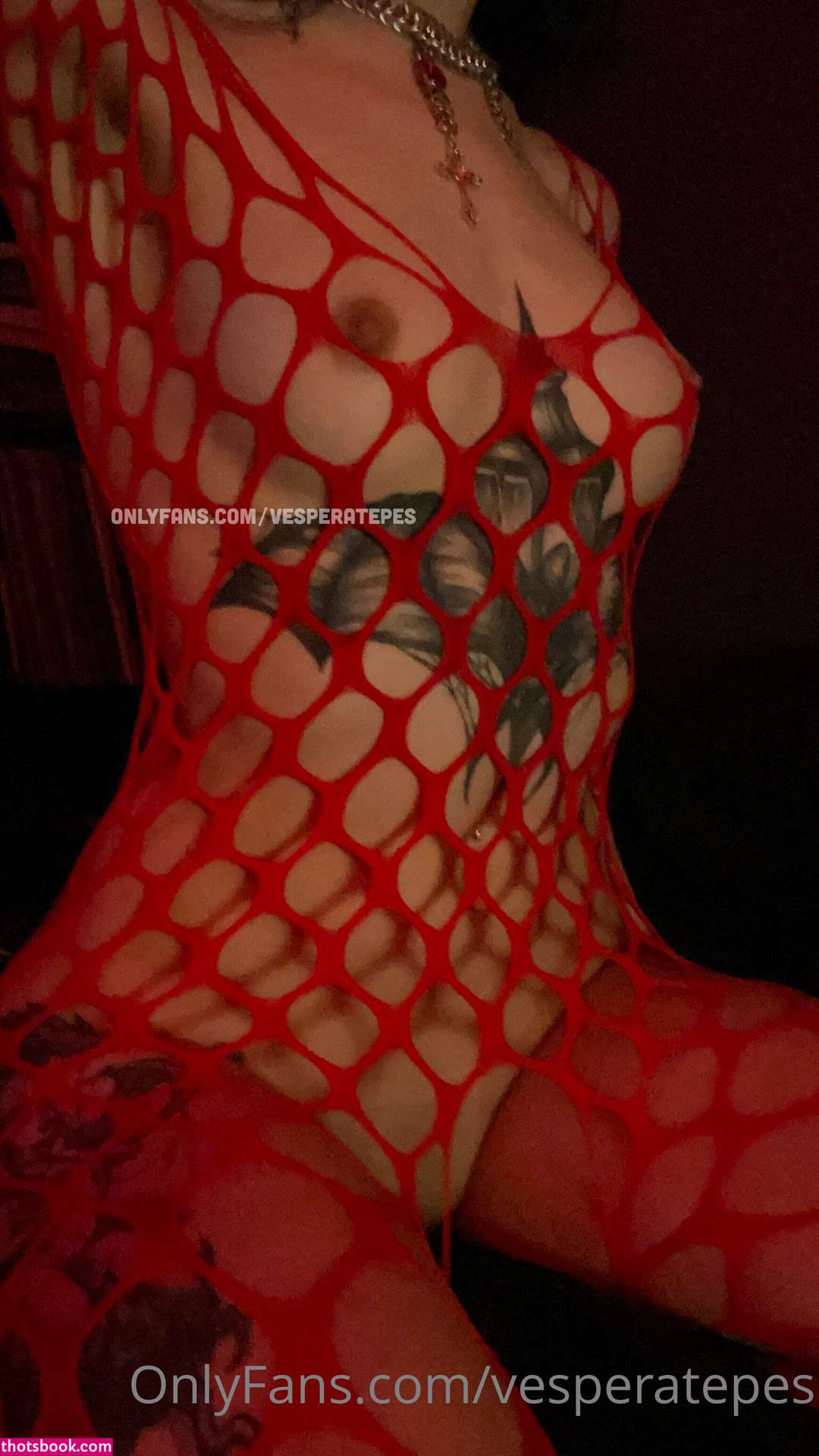 Vesperatepes Photo #67