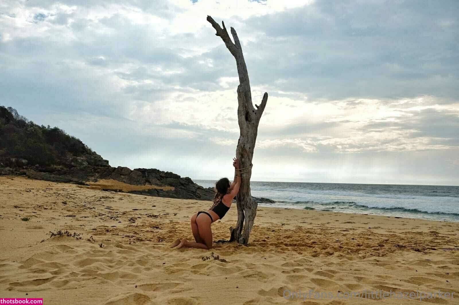 Littlehazelparker Photo #125