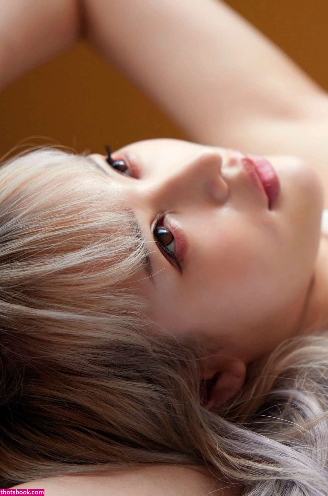 Hime Shirayuki Photo #17