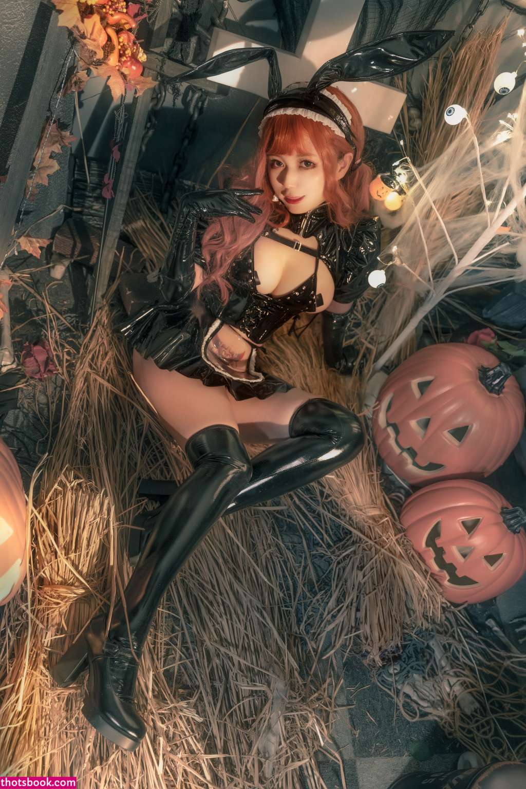 Thoyadoggy Photo #22