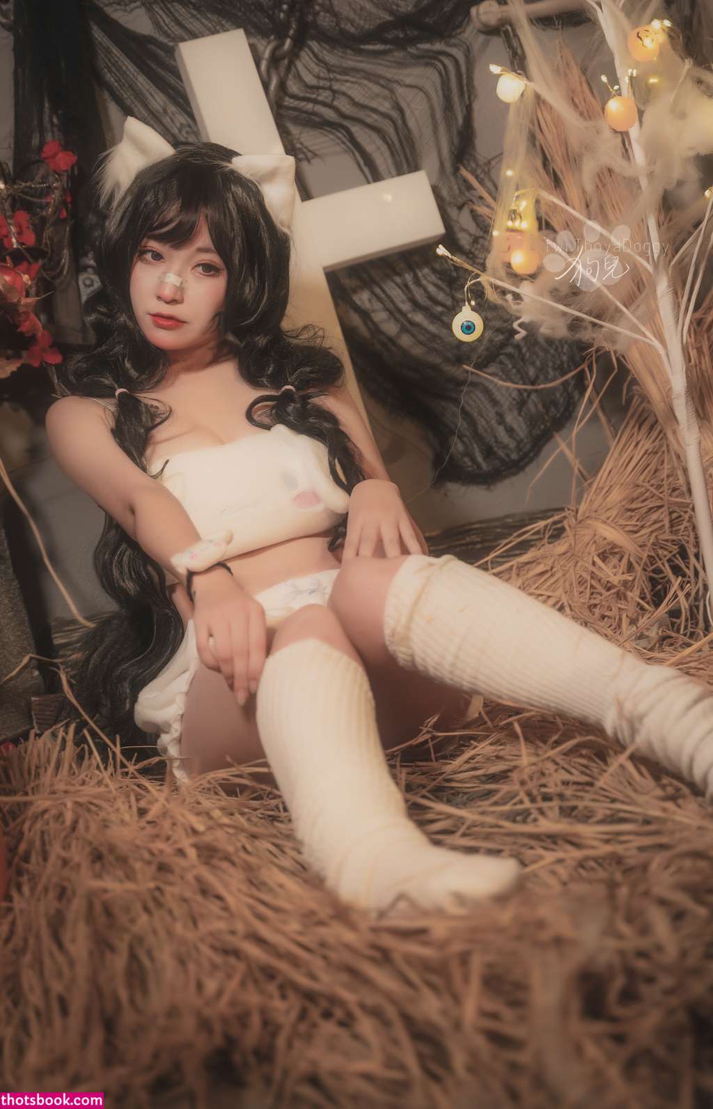 Thoyadoggy Photo #41