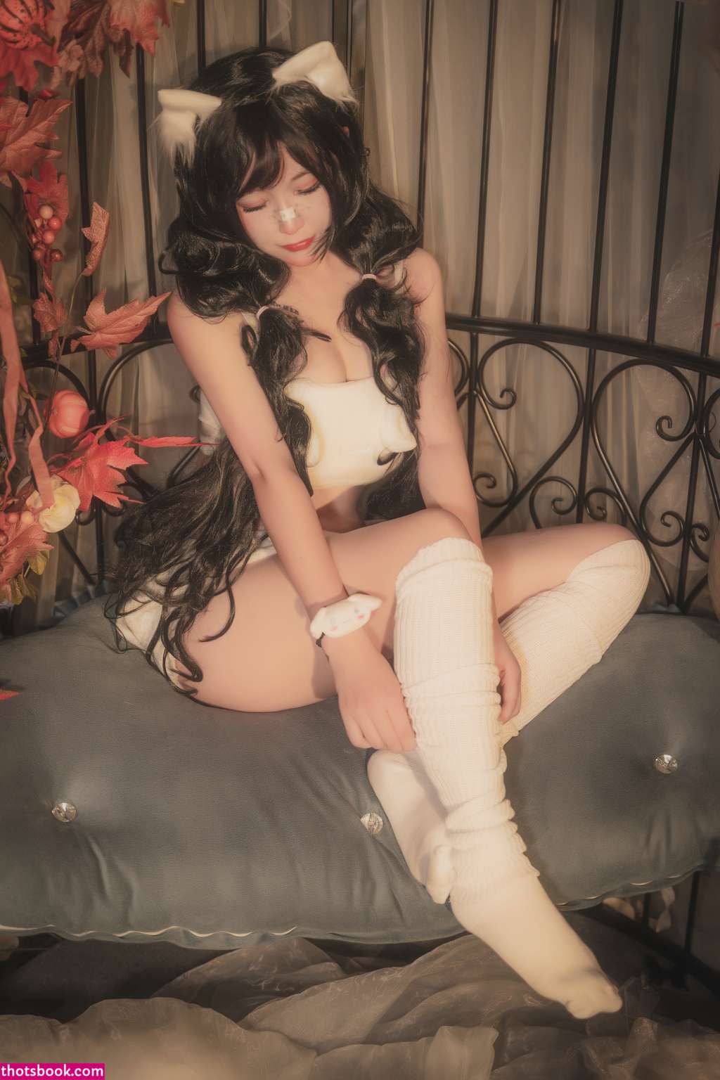 Thoyadoggy Photo #42