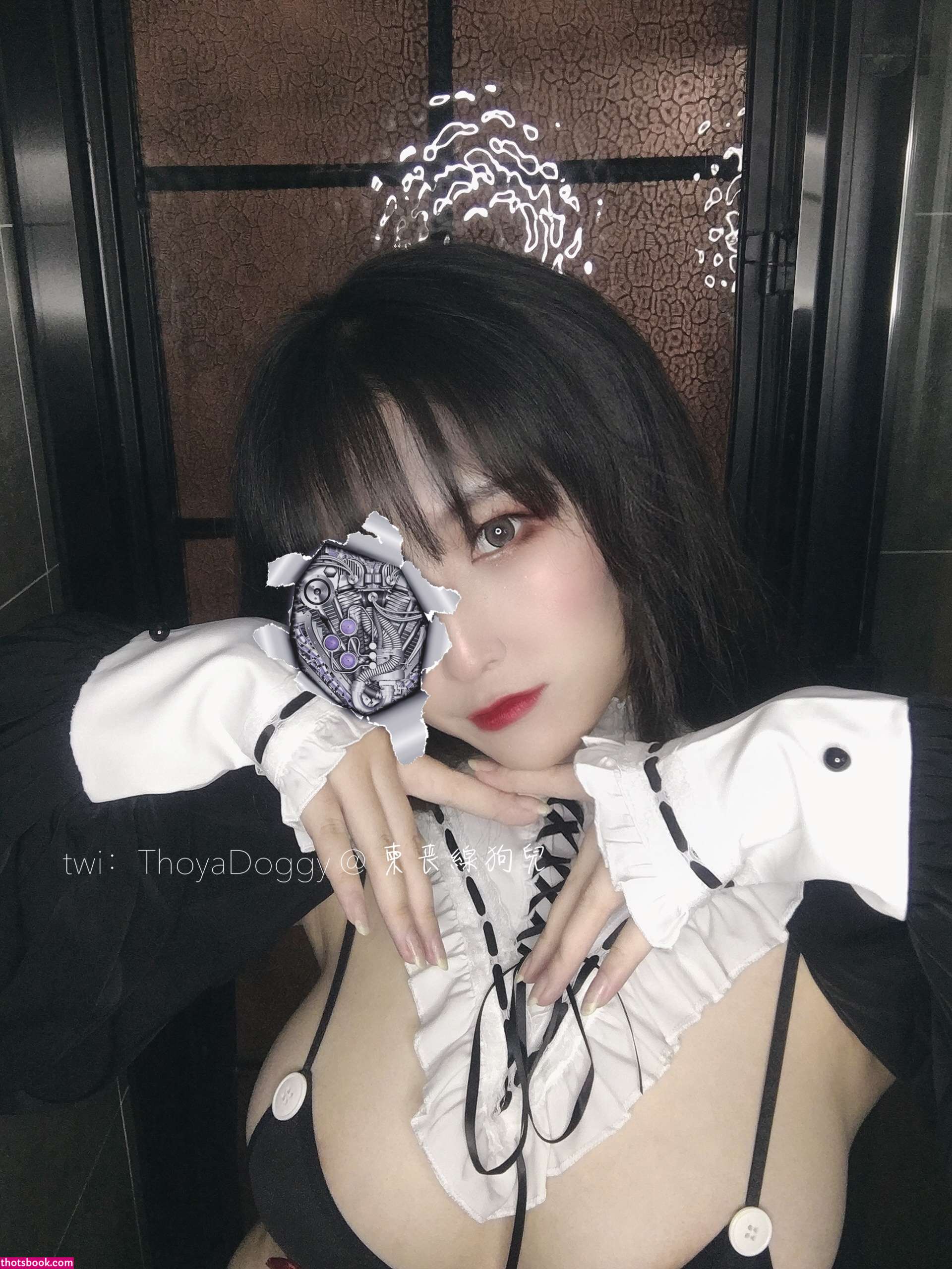 Thoyadoggy Photo #46