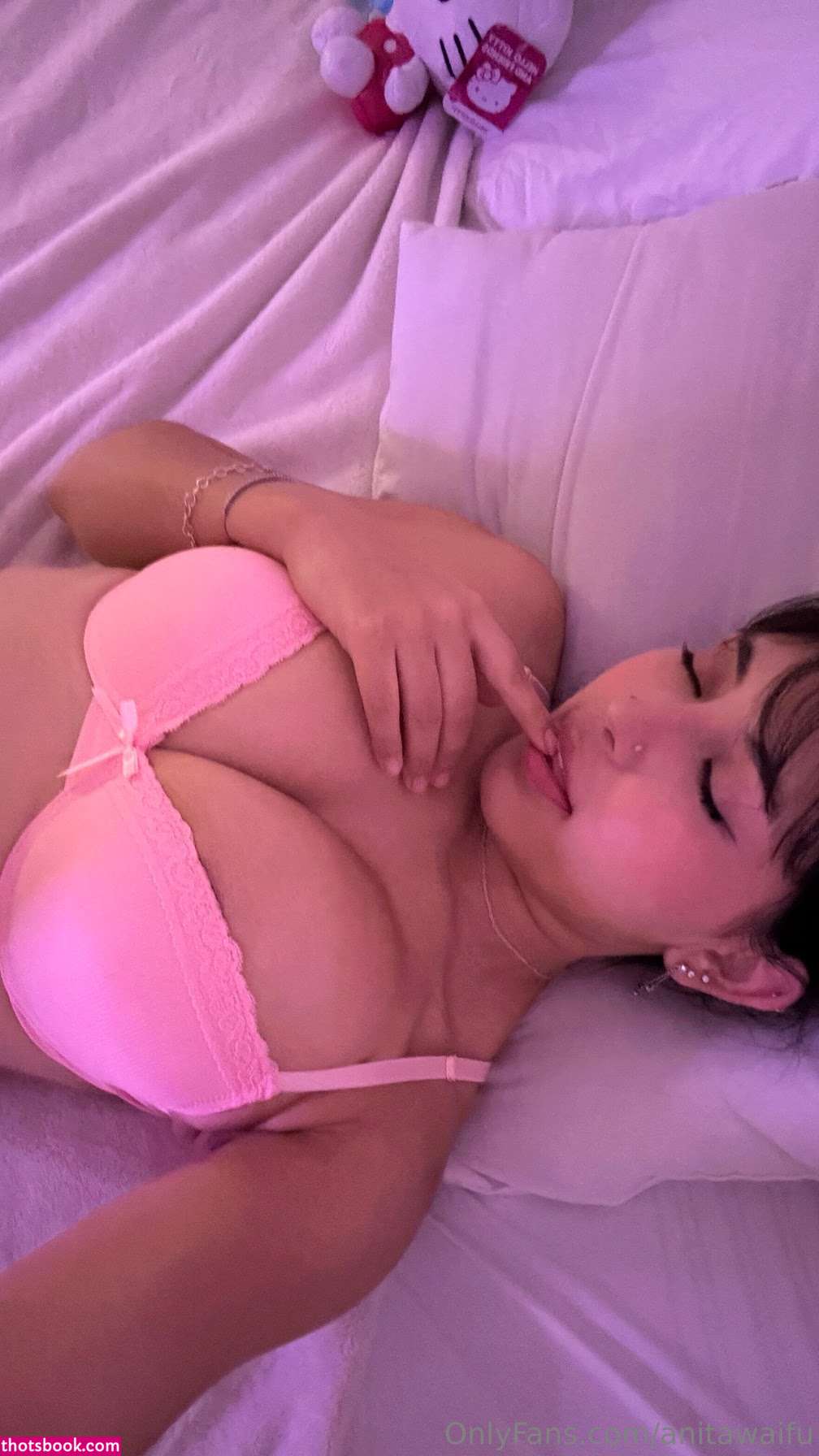 Anita Waifu Photo #20