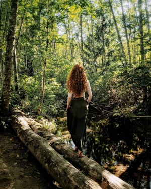 Gingersnark Photo #9