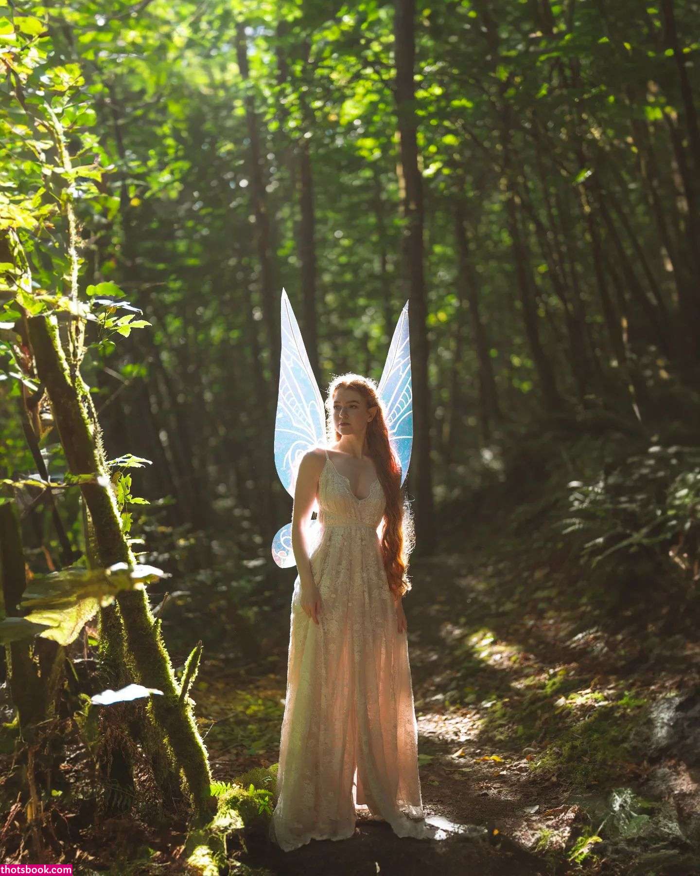 Gingersnark Photo #22