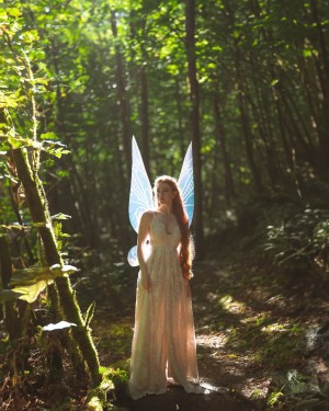 Gingersnark Photo #22