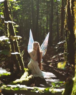 Gingersnark Photo #33