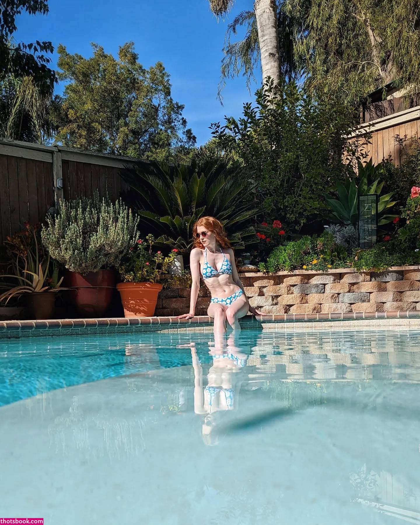 Gingersnark Photo #51