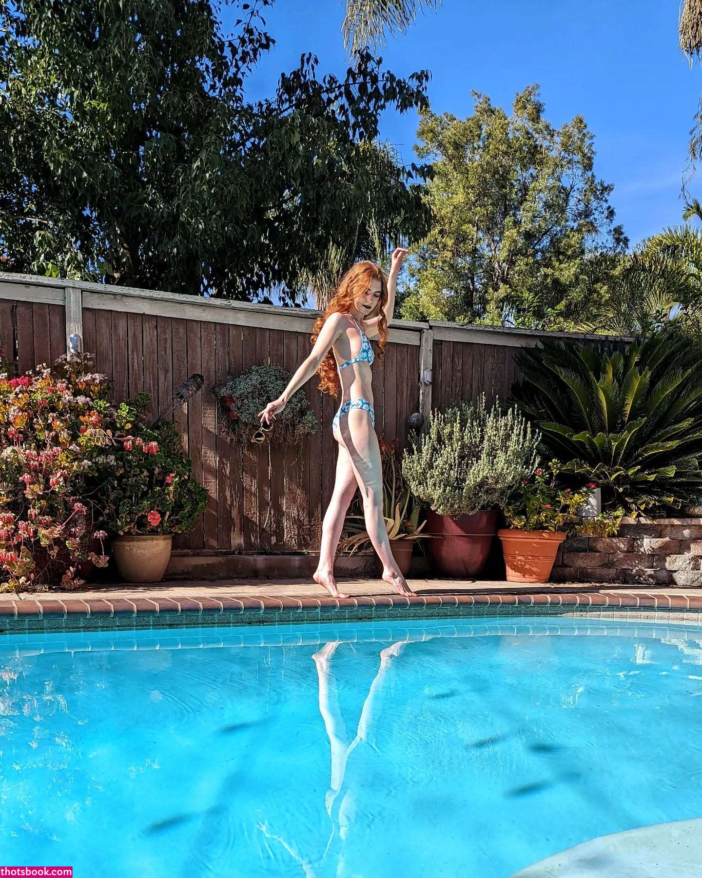 Gingersnark Photo #54