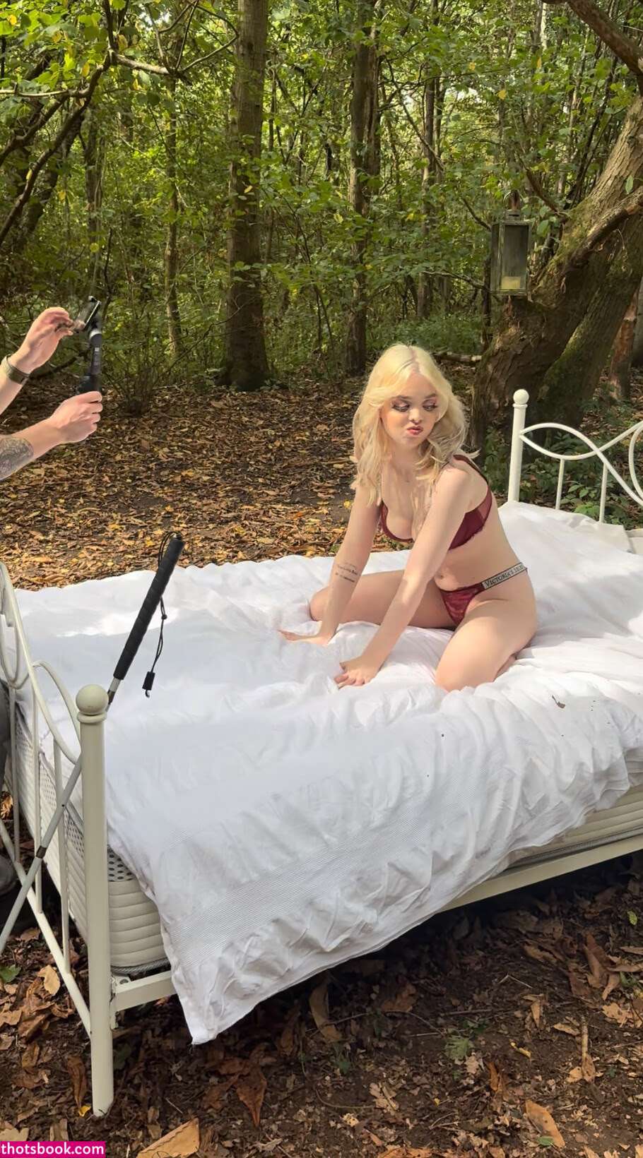 Kittysblind Photo #18