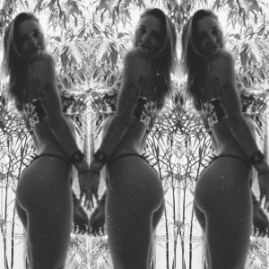 Stella Light Photo #33