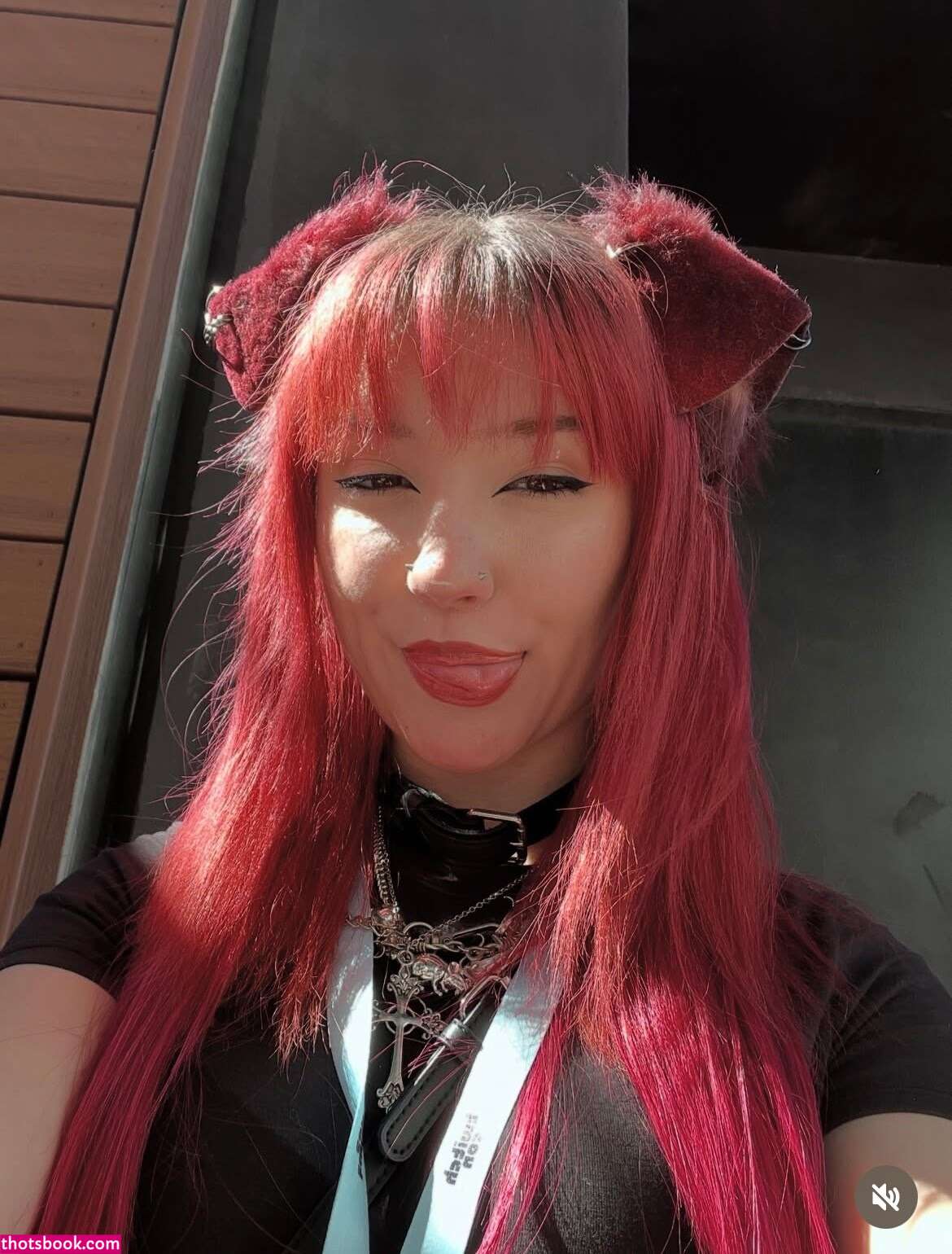 Moronic Mouse Photo #6