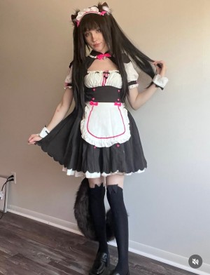 Moronic Mouse Photo #13