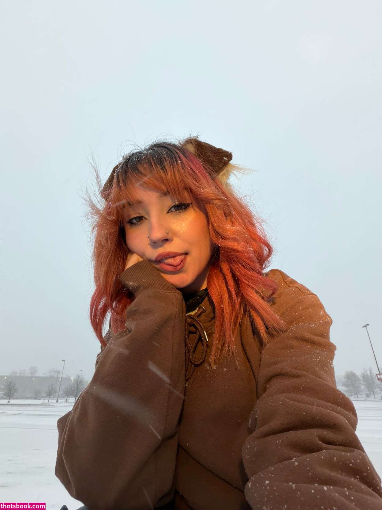 Moronic Mouse Photo #24