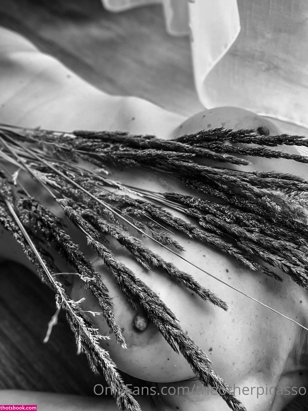 Theotherpicasso Photo #16