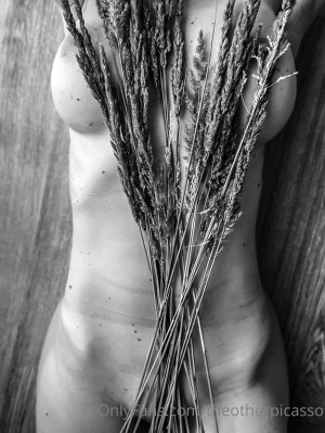 Theotherpicasso Photo #20