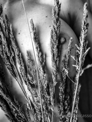 Theotherpicasso Photo #21