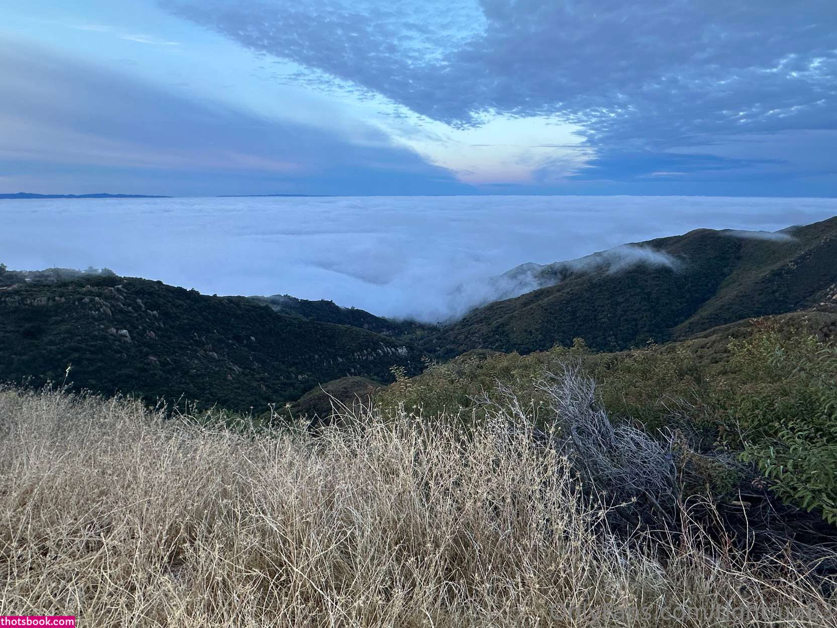 tightfun83 Photo #18