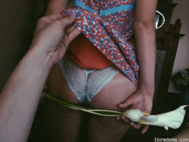 Creator Photo #14058