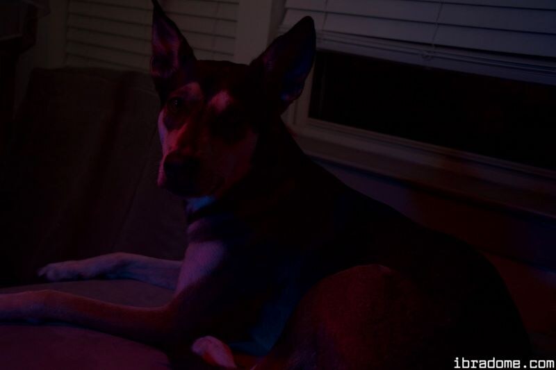 Sabrina Nichole Photo #134