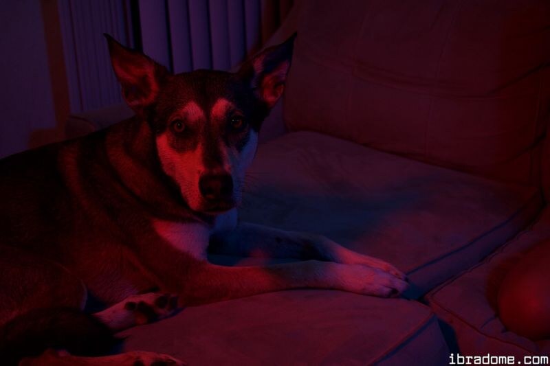 Sabrina Nichole Photo #139