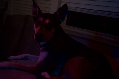 Sabrina Nichole Photo #134