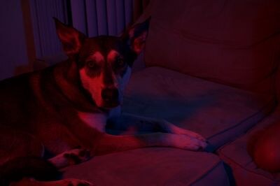 Sabrina Nichole Photo #139