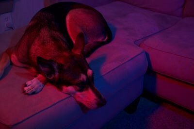 Sabrina Nichole Photo #141