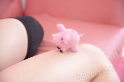 Creator Photo #11906