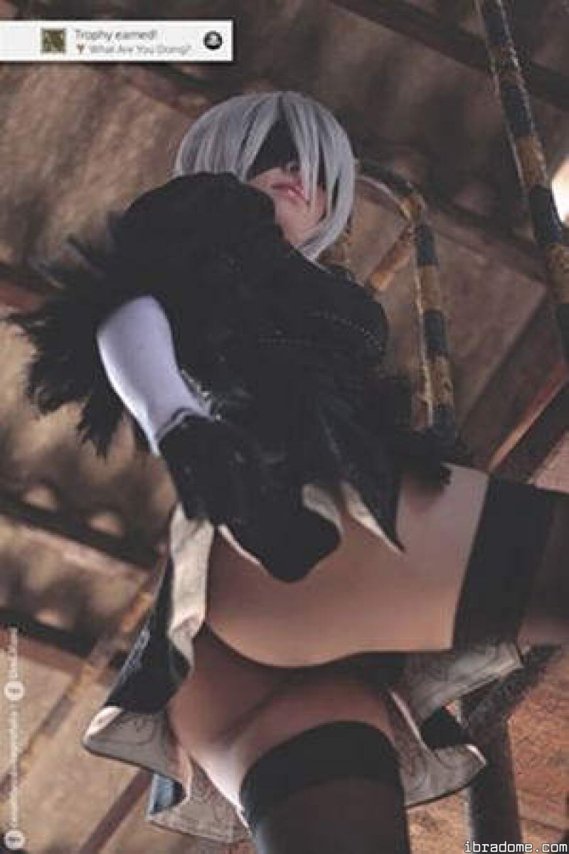 Creator Photo #12021
