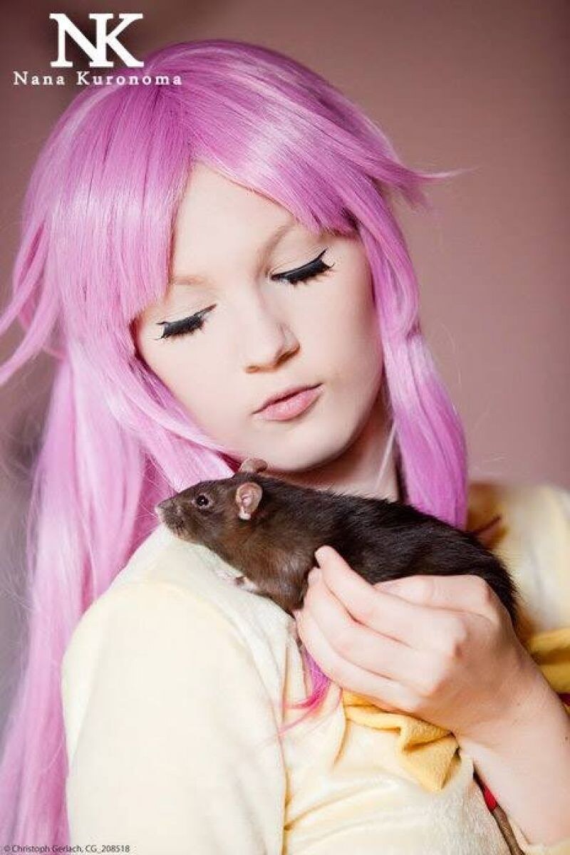 Creator Photo #11040